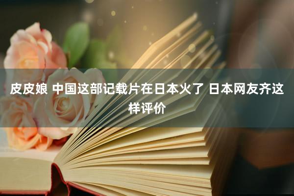 皮皮娘 中国这部记载片在日本火了 日本网友齐这样评价
