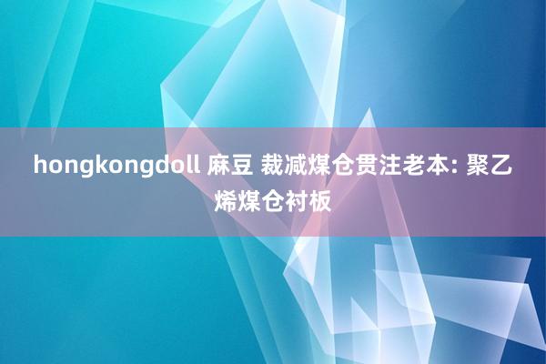 hongkongdoll 麻豆 裁减煤仓贯注老本: 聚乙烯煤仓衬板