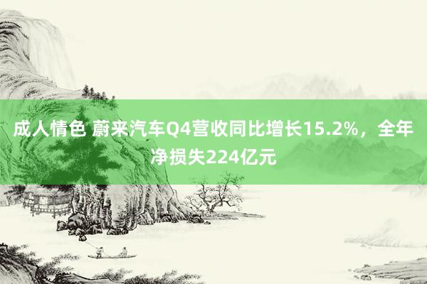 成人情色 蔚来汽车Q4营收同比增长15.2%，全年净损失224亿元